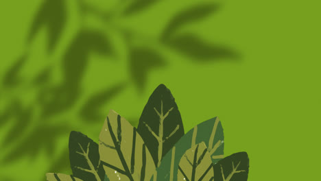Animation-of-plants-over-leaves-and-window-shadow-on-green-background