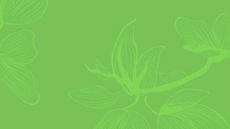 Animation-Eines-Blumenmusters-Vor-Grünem-Farbverlauf-Hintergrund-Mit-Kopierraum