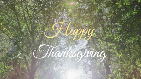 Animation-of-happy-thanksgiving-text-against-sun-shining-through-trees-in-forest-park