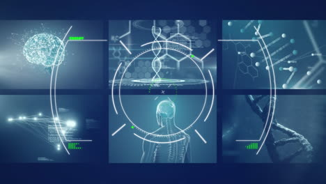 Animation-Des-Endoskop-Scannings-über-Bildschirmen-Mit-Medizinischer-Datenverarbeitung-Vor-Blauem-Hintergrund
