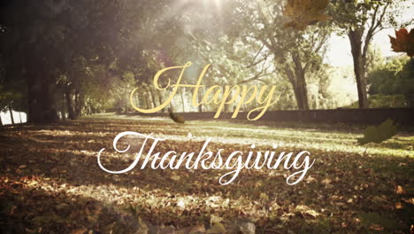 Animation-of-happy-thanksgiving-text-banner-over-maple-leaves-falling-against-forest-park