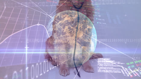 Animation-of-data-processing-and-globe-over-dog