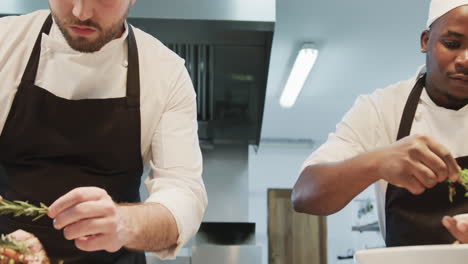 Two-diverse-male-chefs-decorating-meals-in-kitchen,-slow-motion