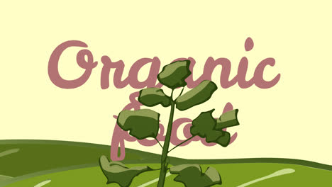 Animation-Von-Bio-Lebensmitteltext-über-Pflanze