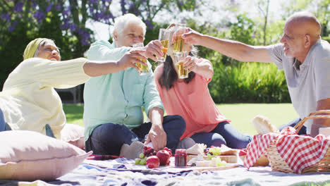 Happy-diverse-senior-male-and-female-friends-making-a-toast-at-a-picnic-in-sunny-garden,-slow-motion