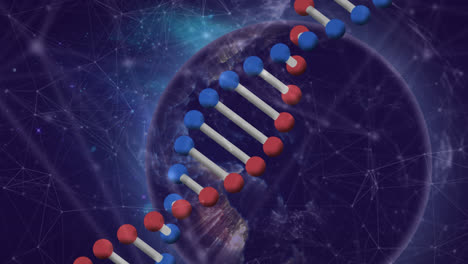 Animation-of-dna-rotating-over-connecting-dots-with-globe-on-digital-interface
