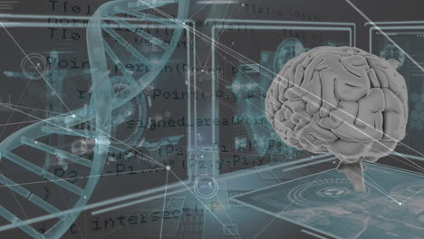 Animation-of-scientific-data,-dna,-brain-and-connections-over-black-background