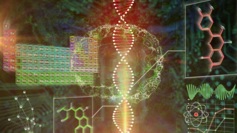 Animation-of-human-brain-rotating,-dna-with-infographic-data-on-digital-interface