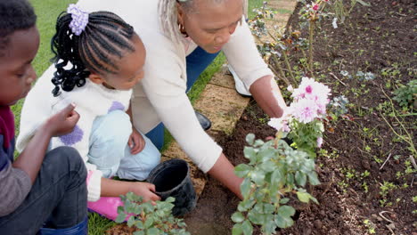 African-american-grandmother,-grandson-and-granddaughter-planting-flowers-in-garden,-slow-motion