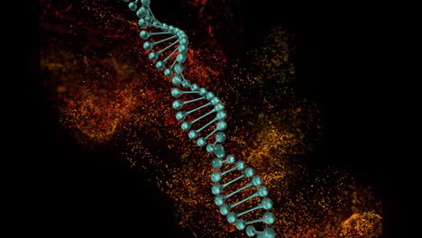 Animation-of-spinning-dna-structure,-red-and-yellow-digital-waves-against-black-background
