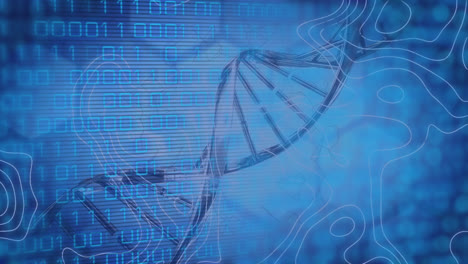 Animation-Von-Binärcode,-Sechsecken-Und-DNA-Auf-Blauem-Hintergrund