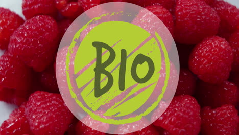 Animation-of-bio-text-banner-against-close-up-of-red-raspberries