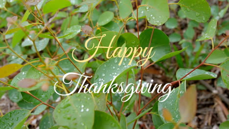 Animation-of-happy-thanksgiving-text-banner-against-close-up-of-a-branch-with-leaves-in-the-forest