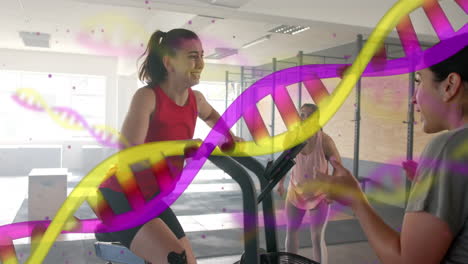 Animation-of-dna-strand-over-caucasian-female-trainer-and-woman-cross-training-on-elliptical-at-gym