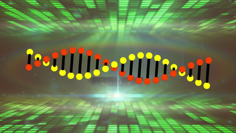Animation-Eines-DNA-Strangs-über-Einem-Digitalen-DNA-Strang