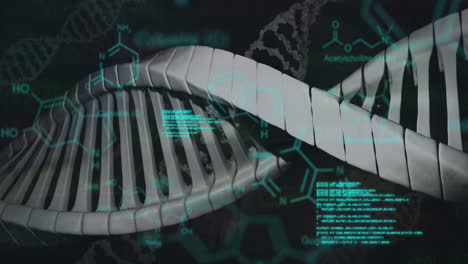 Animation-Chemischer-Strukturen-Und-Datenverarbeitung-über-Die-DNA-Struktur-Vor-Schwarzem-Hintergrund