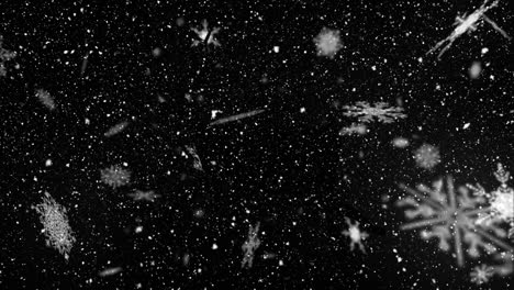 Animation-of-christmas-snow-and-stars-falling-on-black-background