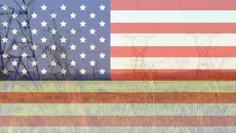 Animation-of-american-flag-over-tall-grass-blowing-in-field