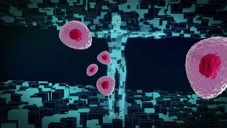 Animation-of-cells-and-digital-human-on-black-background