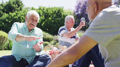 Zwei-Fröhliche,-Unterschiedliche-ältere-Männer-Unterhalten-Sich-Bei-Einem-Picknick-Mit-Freunden-Im-Sonnigen-Garten,-Zeitlupe