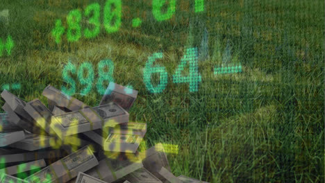 Animation-of-stock-market-data-processing-against-stack-of-dollar-bills-on-the-grass
