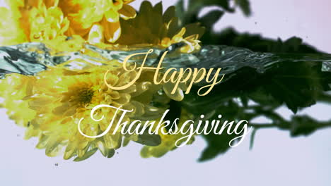 Animation-of-happy-thanksgiving-text-against-slow-motion-of-a-yellow-flowers-falling-in-the-water
