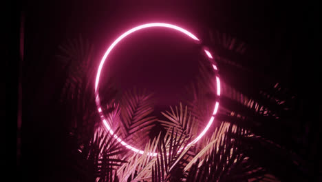 Animation-Von-Blättern-über-Einem-Rosa-Neonkreis-Auf-Schwarzem-Hintergrund