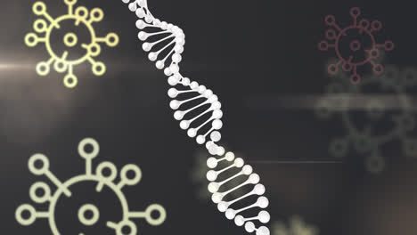 Animation-Der-Sich-Drehenden-DNA-Struktur-Und-Der-Covid-19-Zellensymbole-Vor-Schwarzem-Hintergrund