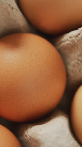 Vídeo-De-Primer-Plano-De-Huevos-Marrones-En-El-Fondo-De-Un-Cartón-De-Huevos