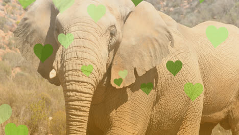 Animation-Von-Herzsymbolen-über-Einem-Elefanten