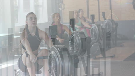 Animation-of-data-processing-on-graph-over-diverse-women-cross-training-on-ellipticals-at-gym