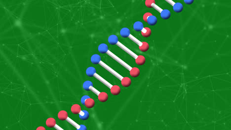 Animación-De-Red-De-Conexiones-Sobre-Cadena-De-ADN.