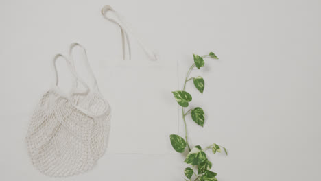 Close-up-of-white-bags-and-green-plant-on-white-background,-with-copy-space,-slow-motion