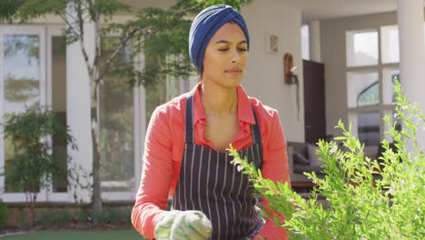 Video-of-biracial-woman-in-hijab-taking-care-of-plants-in-garden