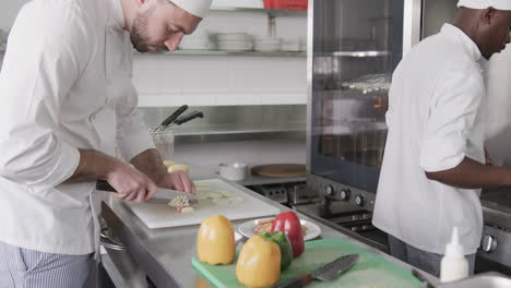 Two-diverse-male-chefs-cutting-vegetables-in-kitchen,-slow-motion