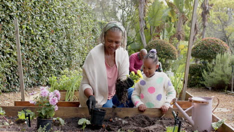 Happy-african-american-grandmother-and-granddaughter-planting-flowers-in-garden,-slow-motion