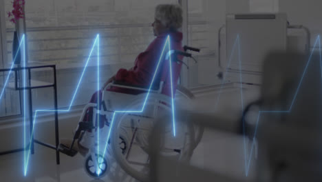 Animation-of-cardiograph-over-biracial-senior-female-patient-in-wheelchair