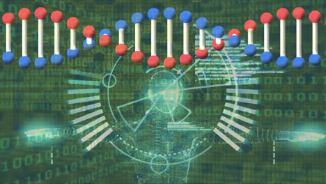 Animation-Einer-DNA-Helix,-Eines-Radars-Und-Eines-Beleuchteten-Digitalen-Menschlichen-Körpers-über-Sich-Wiederholenden-Binärcodes