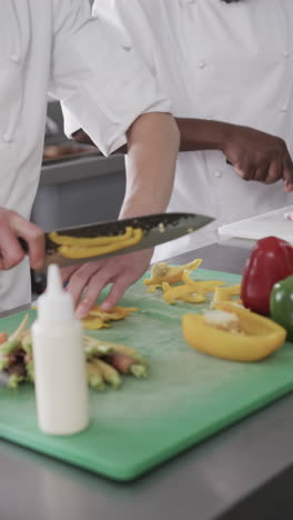 Two-diverse-male-chefs-cutting-vegetables-on-cutting-board-in-kitchen,-slow-motion,-vertical