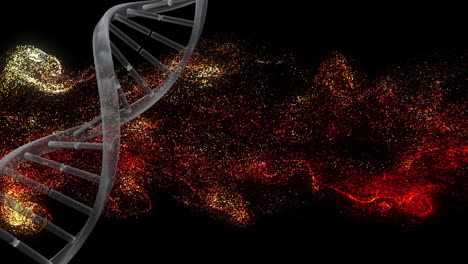 Animation-of-spinning-dna-structure,-red-and-yellow-digital-waves-against-black-background