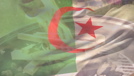 Animation-Der-Flagge-Algeriens-über-Dem-Grill
