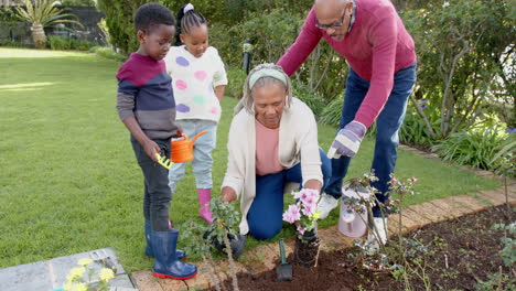 Happy-african-american-grandparents,-grandson-and-granddaughter-planting-flowers,-slow-motion