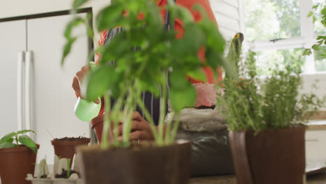Video-of-midsection-of-biracial-woman-planting-herbs