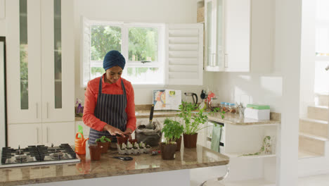 Video-of-biracial-woman-in-hijab-planting-herbs-in-kitchen