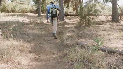 Hombre-Afroamericano-Usando-Mochila-Y-Caminando-Con-Bastón-De-Trekking-En-El-Bosque,-Cámara-Lenta