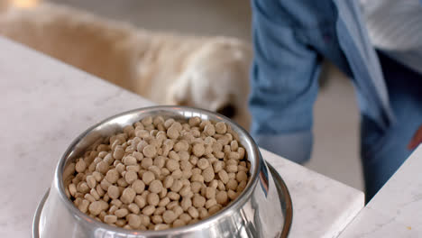 Midsection-of-biracial-woman-preparing-dog-food-at-home,-slow-motion
