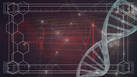Animation-Wissenschaftlicher-Daten,-DNA-Und-Verbindungen-Auf-Schwarzem-Hintergrund