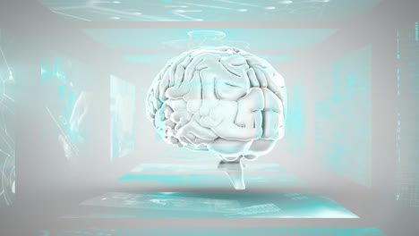 Animation-of-human-brain-and-data-processing