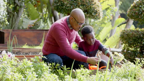 Feliz-Abuelo-Y-Nieto-Afroamericano-Haciendo-Jardinería-Y-Hablando-En-Un-Jardín-Soleado,-Cámara-Lenta