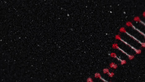 Animation-of-white-particles-falling-over-spinning-dna-structure-against-black-background